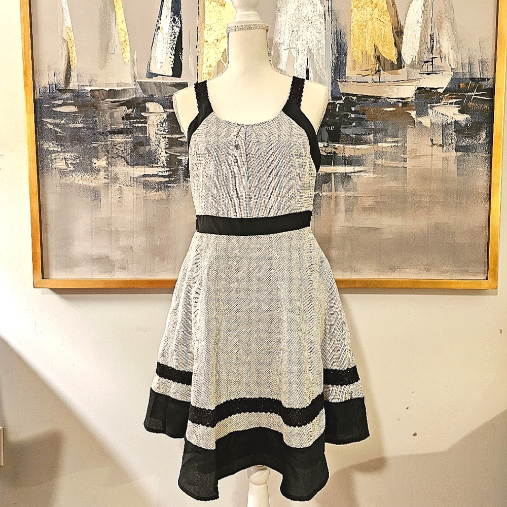 Ryu Black and White Mini Dress